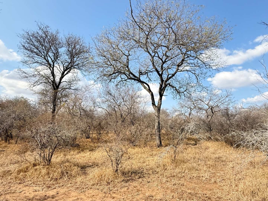 0 Bedroom Property for Sale in Hoedspruit Wildlife Estate Limpopo
