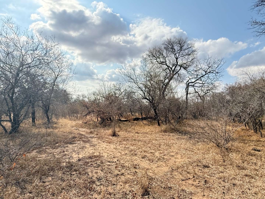 0 Bedroom Property for Sale in Hoedspruit Wildlife Estate Limpopo