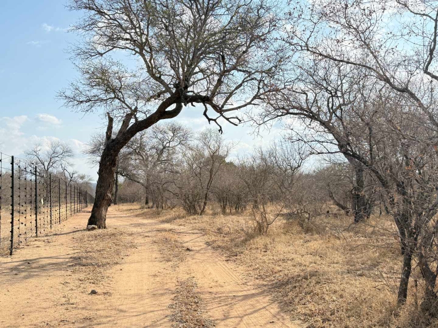 0 Bedroom Property for Sale in Hoedspruit Wildlife Estate Limpopo