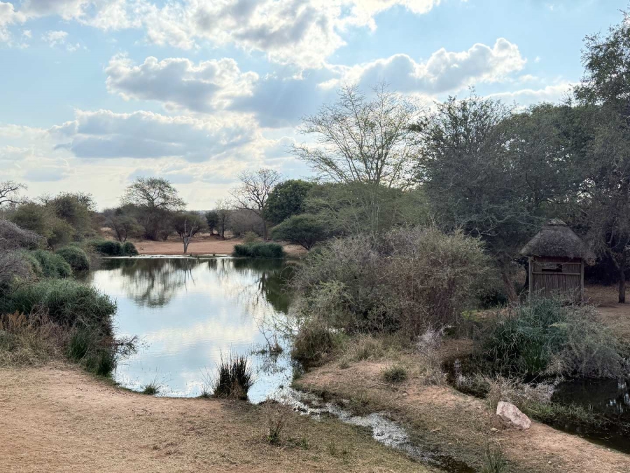 0 Bedroom Property for Sale in Hoedspruit Wildlife Estate Limpopo