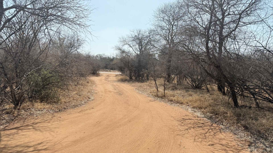 5 Bedroom Property for Sale in Hoedspruit Wildlife Estate Limpopo