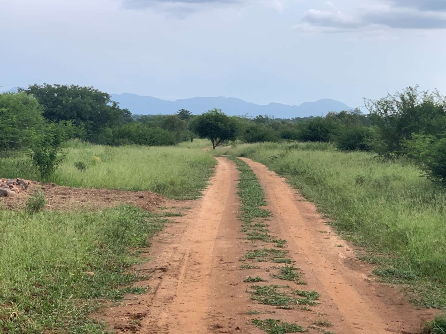 0 Bedroom Property for Sale in Elephant Rock Eco Estate Limpopo