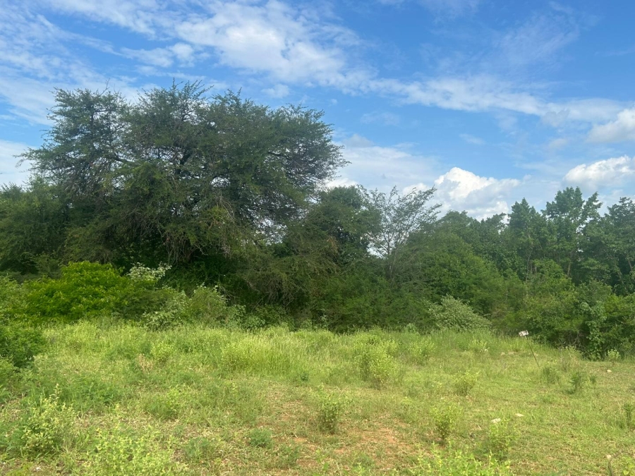 0 Bedroom Property for Sale in Elephant Rock Eco Estate Limpopo