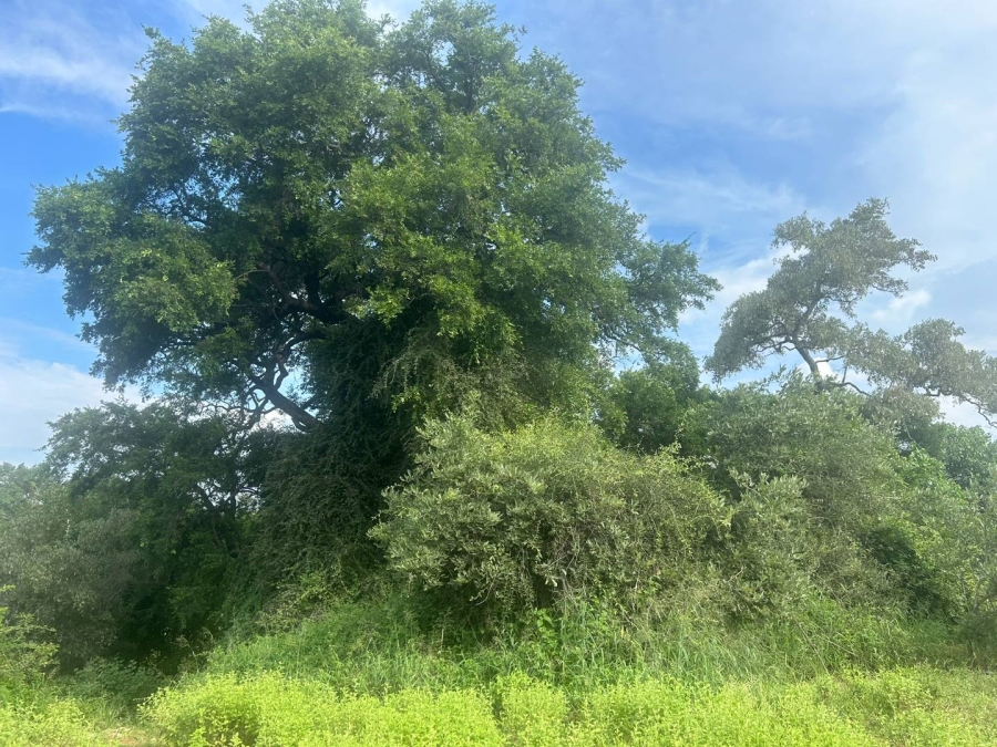 0 Bedroom Property for Sale in Elephant Rock Eco Estate Limpopo