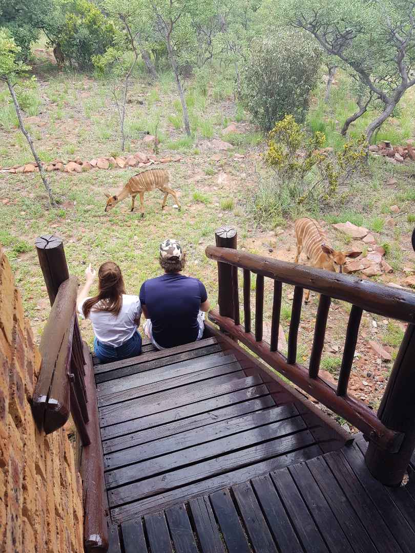 0 Bedroom Property for Sale in Bela Bela Limpopo