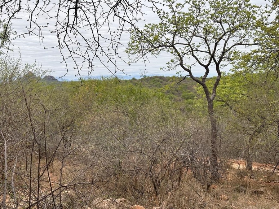 0 Bedroom Property for Sale in Elephant Rock Eco Estate Limpopo