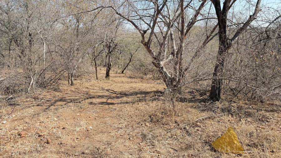 0 Bedroom Property for Sale in Elephant Rock Eco Estate Limpopo