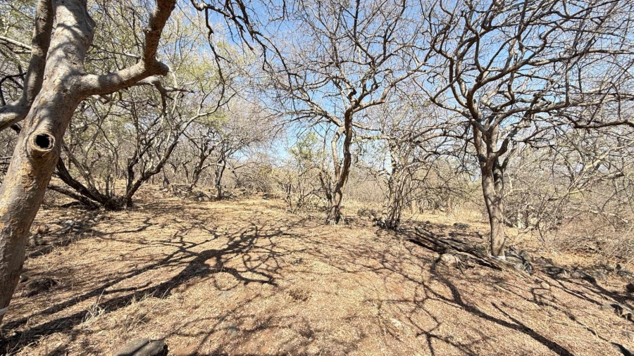0 Bedroom Property for Sale in Elephant Rock Eco Estate Limpopo