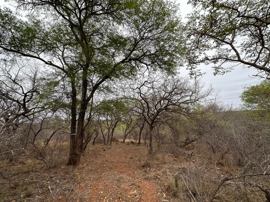 0 Bedroom Property for Sale in Elephant Rock Eco Estate Limpopo