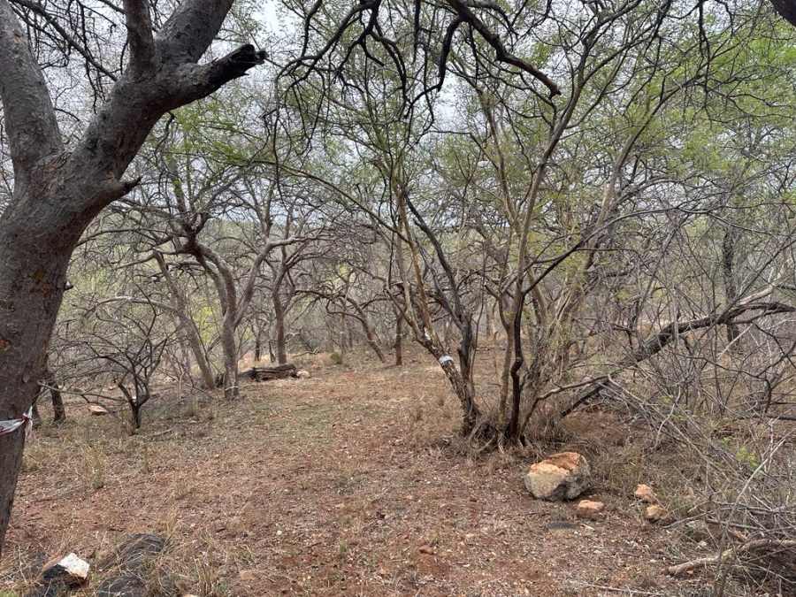 0 Bedroom Property for Sale in Elephant Rock Eco Estate Limpopo