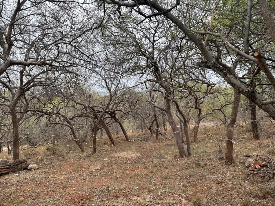 0 Bedroom Property for Sale in Elephant Rock Eco Estate Limpopo