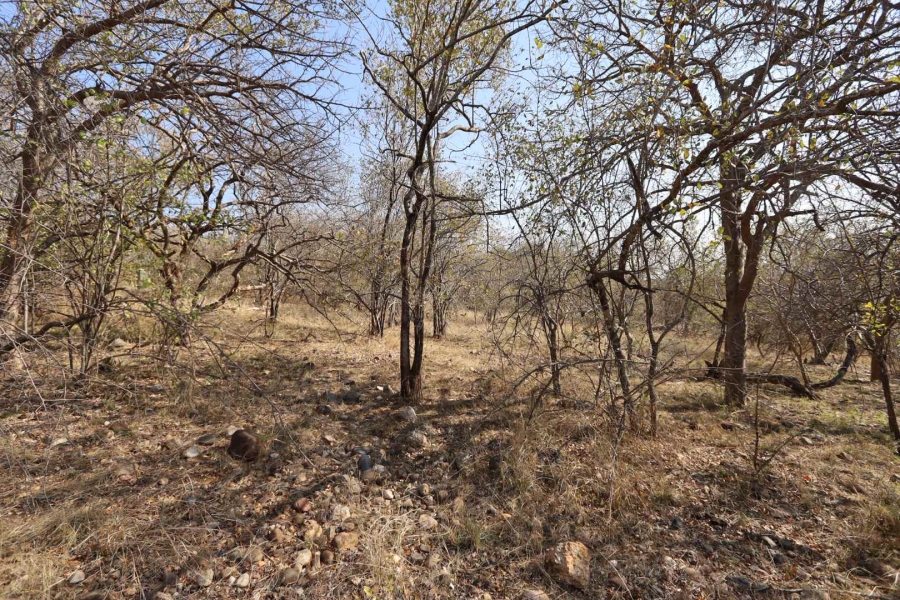 0 Bedroom Property for Sale in Elephant Rock Eco Estate Limpopo