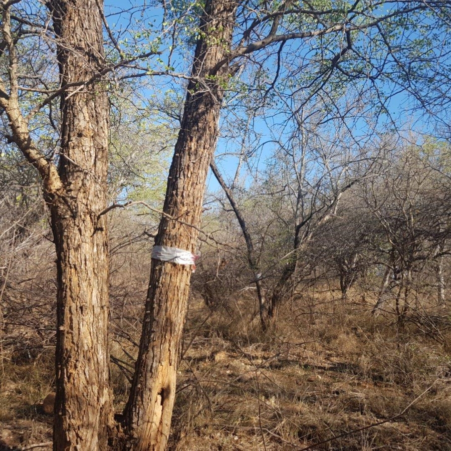 0 Bedroom Property for Sale in Elephant Rock Eco Estate Limpopo