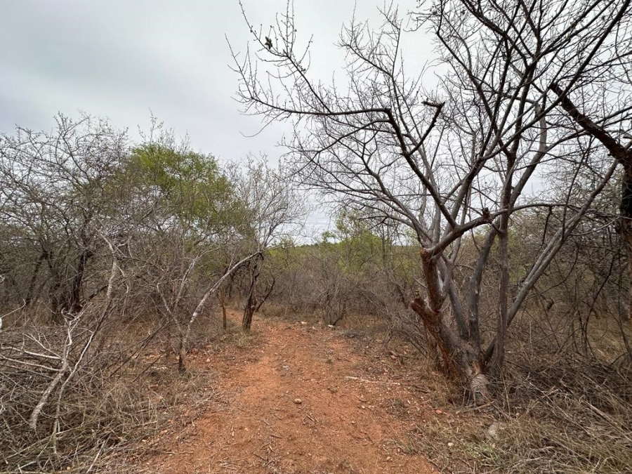 0 Bedroom Property for Sale in Elephant Rock Eco Estate Limpopo