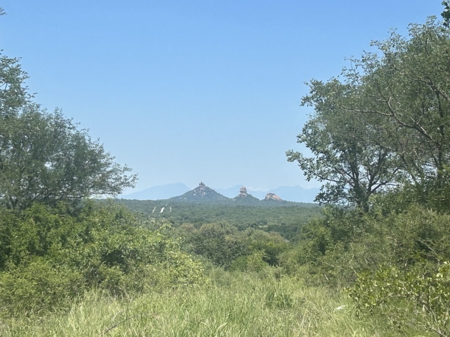 0 Bedroom Property for Sale in Elephant Rock Eco Estate Limpopo
