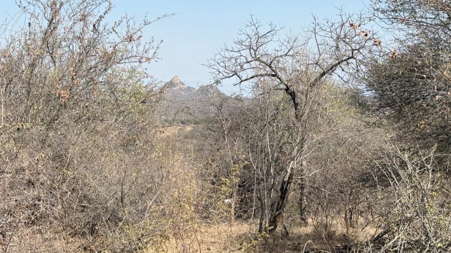 0 Bedroom Property for Sale in Elephant Rock Eco Estate Limpopo