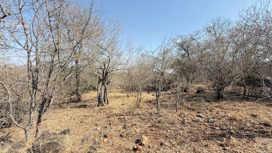 0 Bedroom Property for Sale in Elephant Rock Eco Estate Limpopo