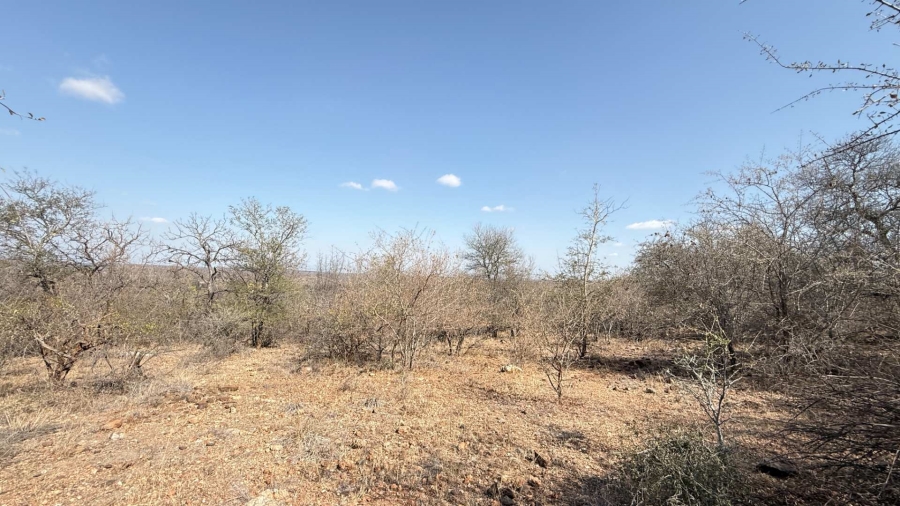 0 Bedroom Property for Sale in Elephant Rock Eco Estate Limpopo