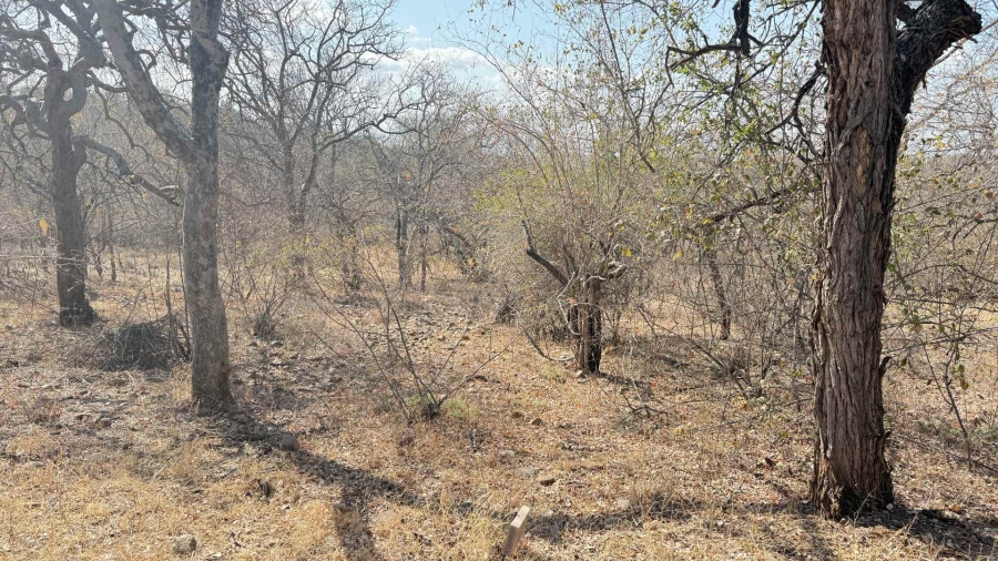 0 Bedroom Property for Sale in Elephant Rock Eco Estate Limpopo