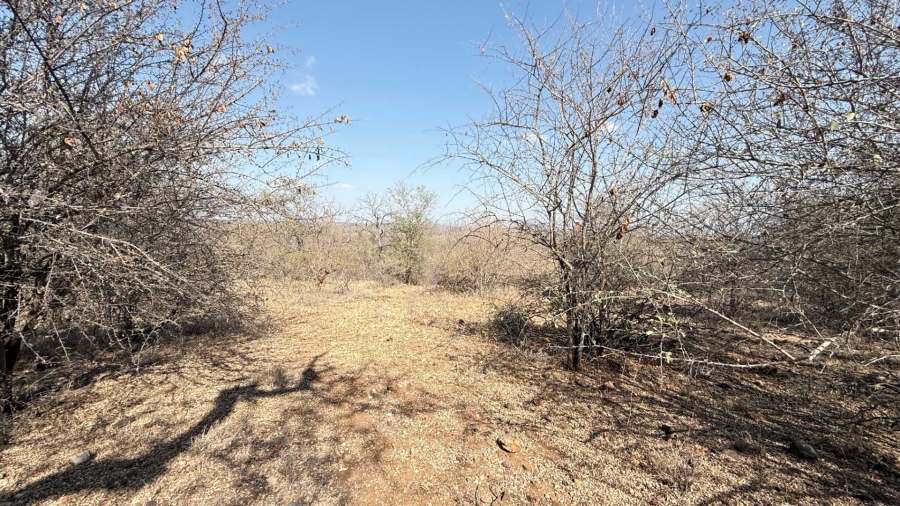 0 Bedroom Property for Sale in Elephant Rock Eco Estate Limpopo