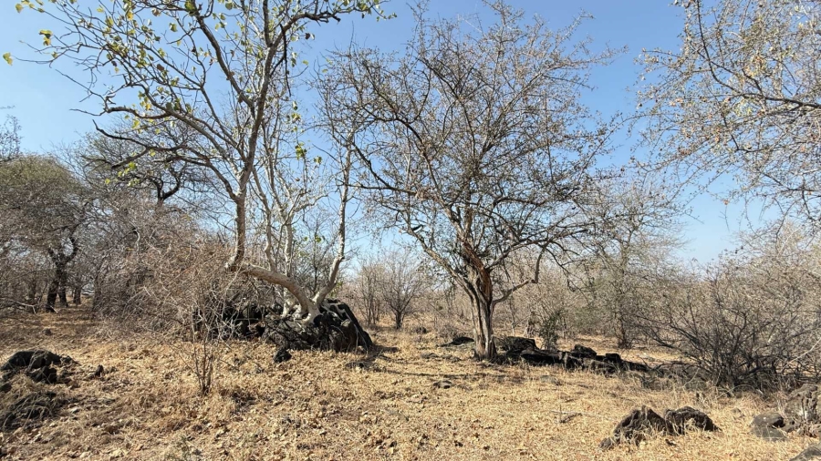 0 Bedroom Property for Sale in Elephant Rock Eco Estate Limpopo