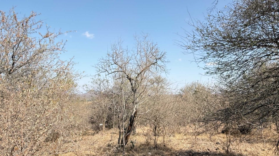 0 Bedroom Property for Sale in Elephant Rock Eco Estate Limpopo