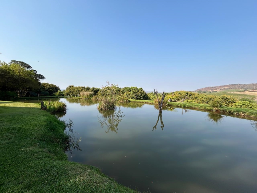 Commercial Property for Sale in Tzaneen Rural Limpopo