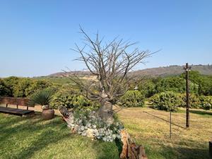 5 Bedroom Property for Sale in Hamawasha A H Limpopo