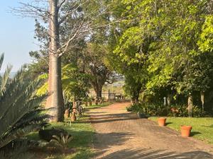 5 Bedroom Property for Sale in Hamawasha A H Limpopo
