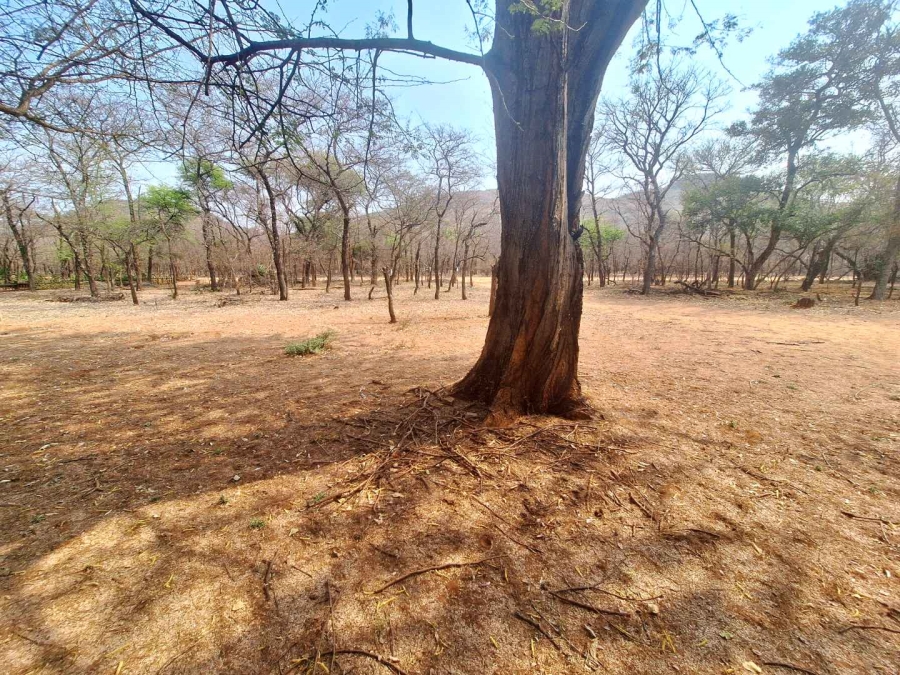 3 Bedroom Property for Sale in Leeupoort Limpopo