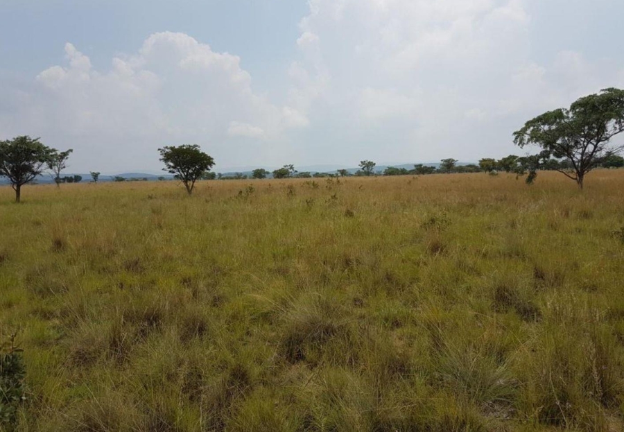 0 Bedroom Property for Sale in Mookgopong Limpopo