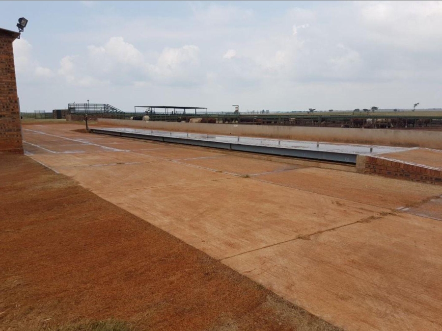 0 Bedroom Property for Sale in Mookgopong Limpopo
