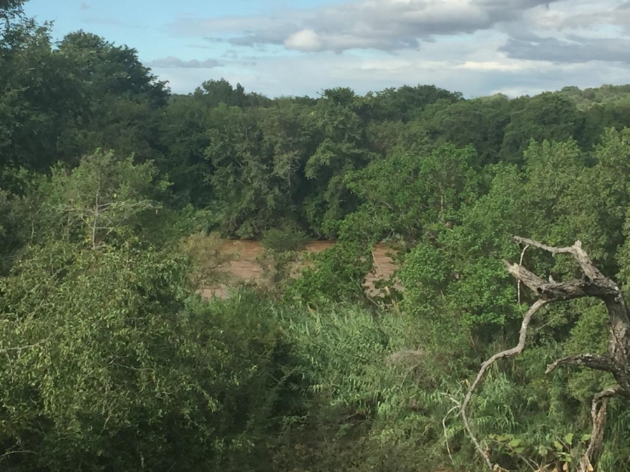 0 Bedroom Property for Sale in Elephant Rock Eco Estate Limpopo
