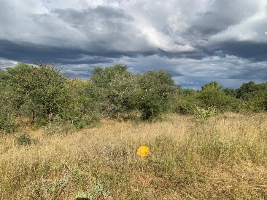 0 Bedroom Property for Sale in Elephant Rock Eco Estate Limpopo