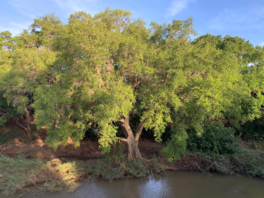 0 Bedroom Property for Sale in Elephant Rock Eco Estate Limpopo