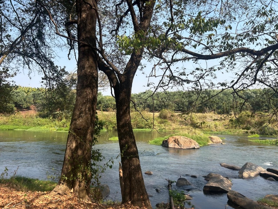4 Bedroom Property for Sale in Tzaneen Rural Limpopo
