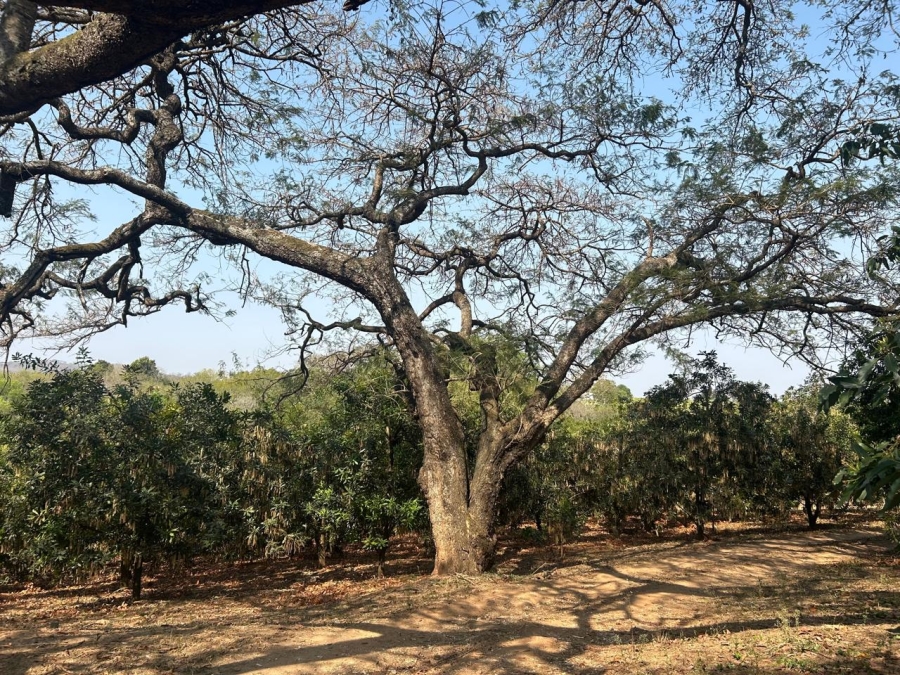 4 Bedroom Property for Sale in Tzaneen Rural Limpopo