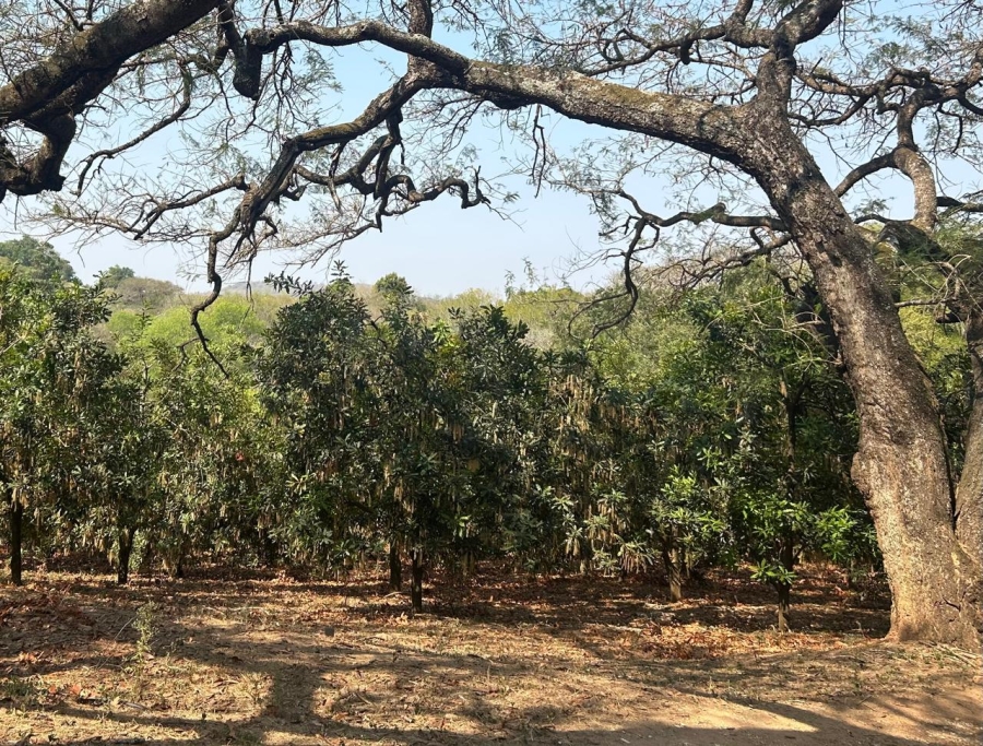 4 Bedroom Property for Sale in Tzaneen Rural Limpopo