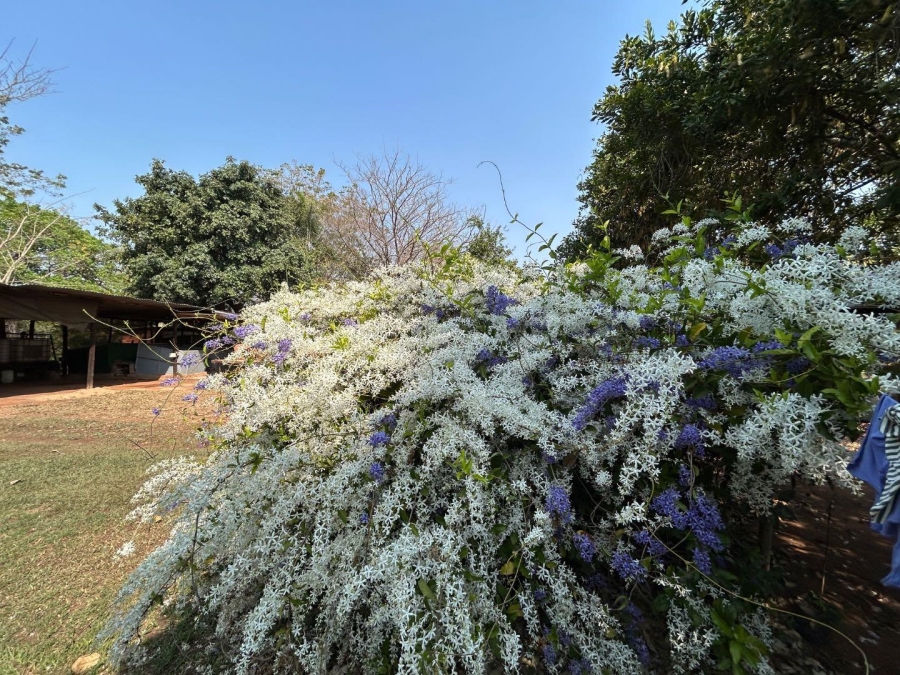 4 Bedroom Property for Sale in Tzaneen Rural Limpopo