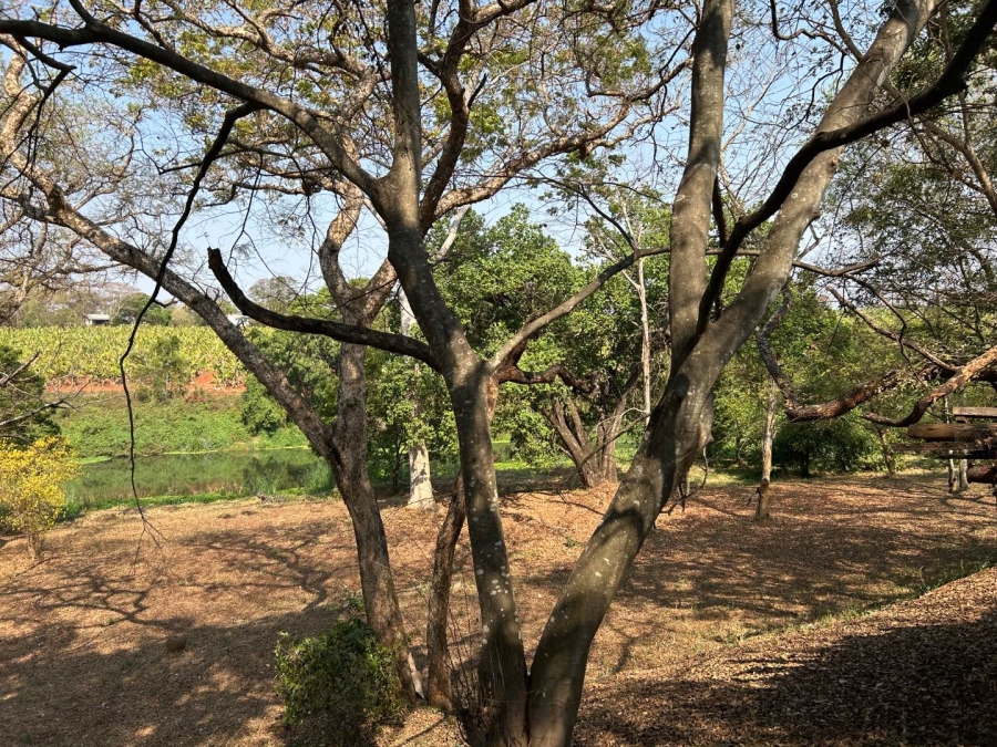 4 Bedroom Property for Sale in Tzaneen Rural Limpopo