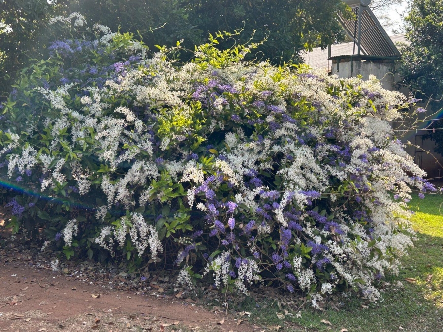 4 Bedroom Property for Sale in Tzaneen Rural Limpopo