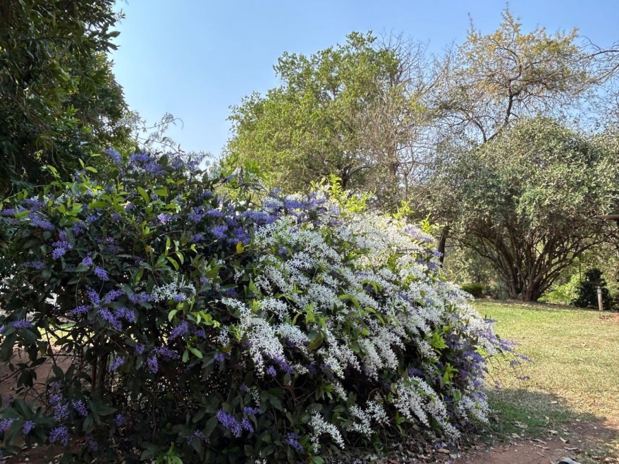 4 Bedroom Property for Sale in Tzaneen Rural Limpopo