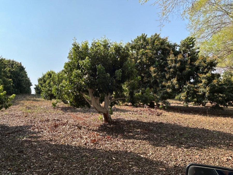 4 Bedroom Property for Sale in Tzaneen Rural Limpopo