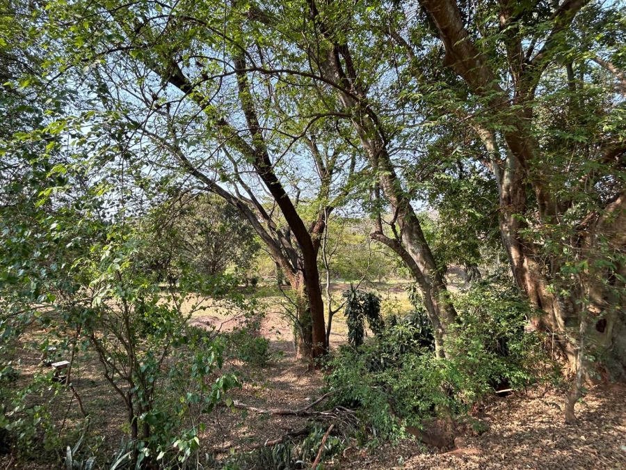 4 Bedroom Property for Sale in Tzaneen Rural Limpopo