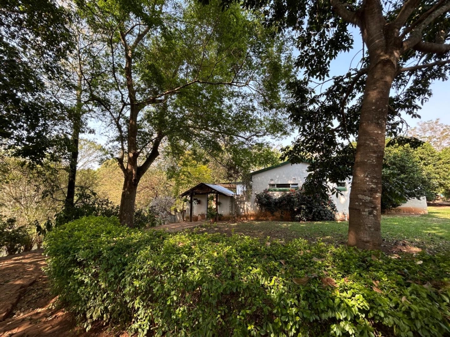 4 Bedroom Property for Sale in Tzaneen Rural Limpopo