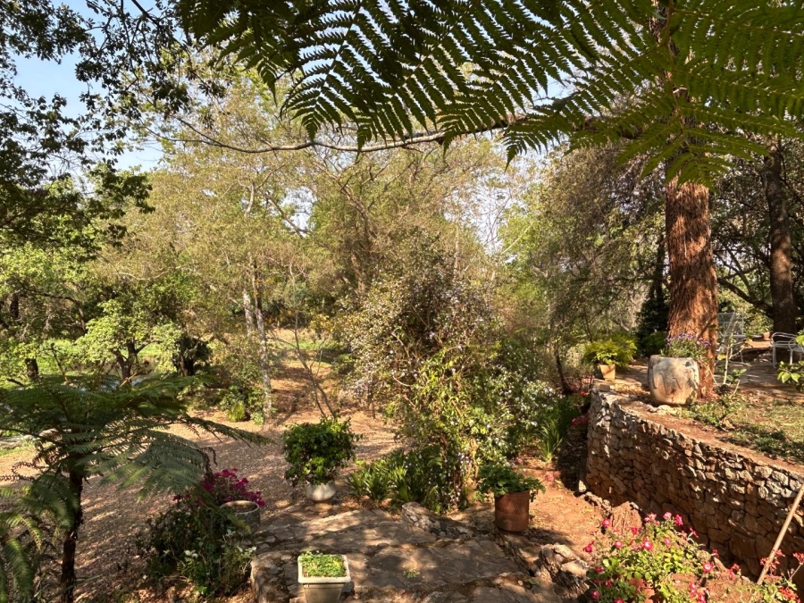 4 Bedroom Property for Sale in Tzaneen Rural Limpopo