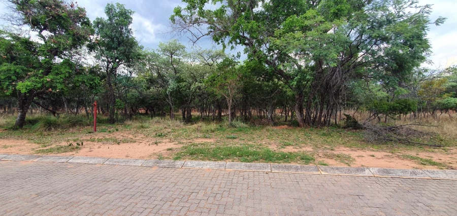 0 Bedroom Property for Sale in Koro Creek Golf Estate Limpopo