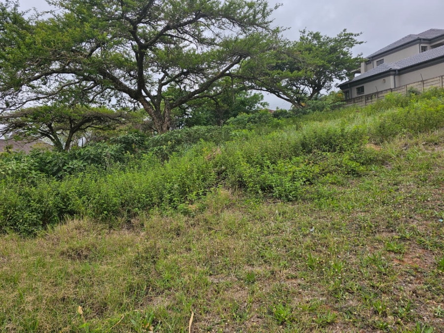 0 Bedroom Property for Sale in Louis Trichardt Limpopo