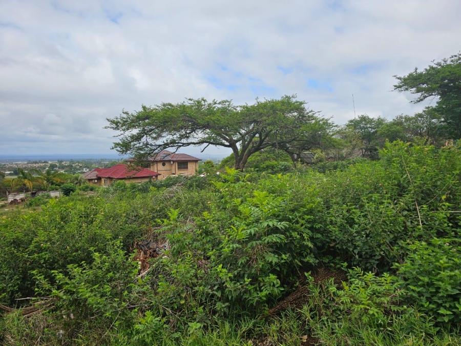 0 Bedroom Property for Sale in Louis Trichardt Limpopo