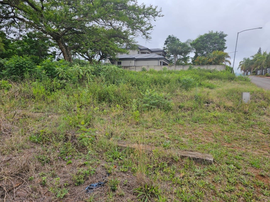 0 Bedroom Property for Sale in Louis Trichardt Limpopo